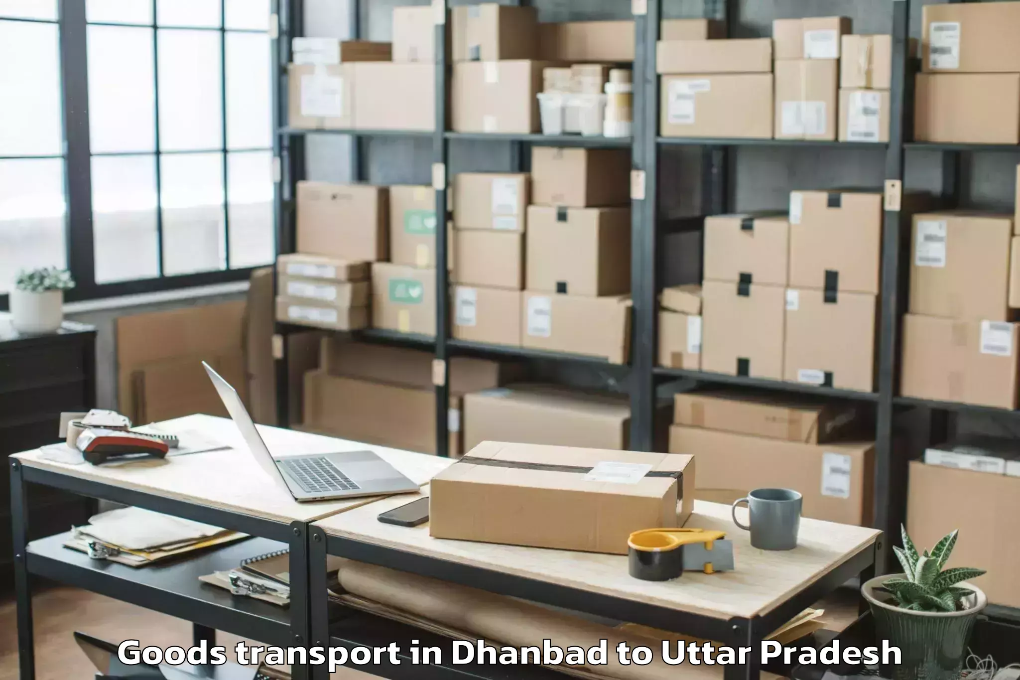 Quality Dhanbad to Bilhaur Goods Transport